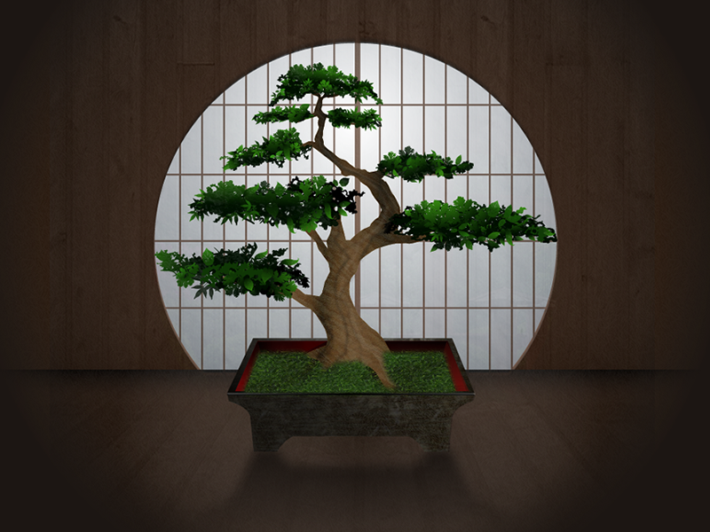 Bonsai Tree by Brian Del Giudice on Dribbble