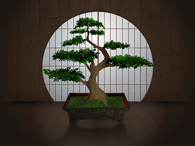 Bonsai Tree bonsai icon tree