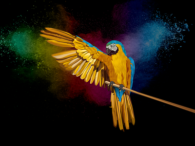 Realistic Parrot Illustration