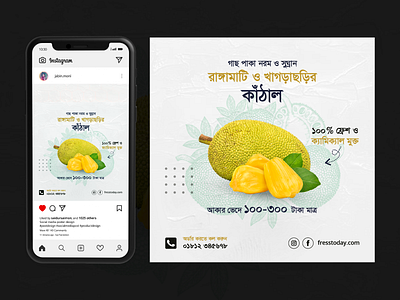 Jack Fruit Post Design bangla poster branding design graphic design instagram post instagram stories instagram template jabin moni jack fruit jack fruit poster marketing photo retouch poster design product design social media social media post typography web design