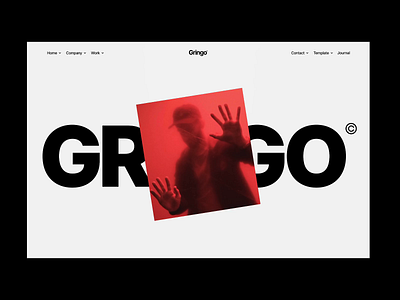 Gringo Template hero interactions marketplace template webflow website