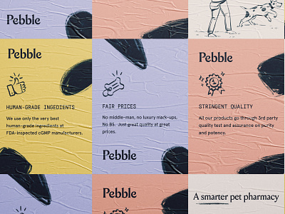 Pebble ad brand brand identity branding brass hands cat d2c direct to consumer dog icon icons illustration logo packaging pet pills supplement typography website