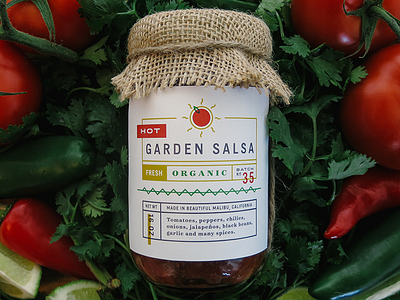 Garden Salsa Packaging hot illustration label numerals organic packaging salsa sun typography