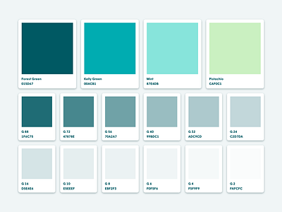 Mint Green Palette Designs Themes Templates And Downloadable Graphic Elements On Dribbble