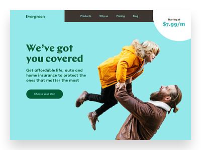Evergreen brand brand designer brand identity branding landing page startup typography website website designer