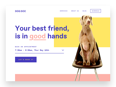 Dog Doc Website bend brand brand designer brand identity branding dog icon landing page logo modern pet pet hospital typography ui web designer webdesign website