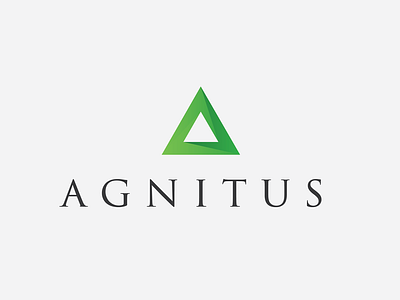 Agnitus Logo abstract accounting auditor corporate logo vector
