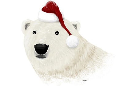 North Pole adobe photoshop design graphic design illustration