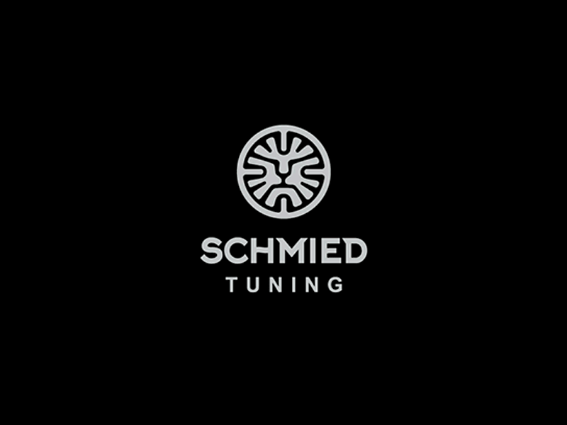 SCHMIED TUNING auto auto parts disk lion whell