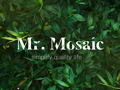 Mr.Mosaic