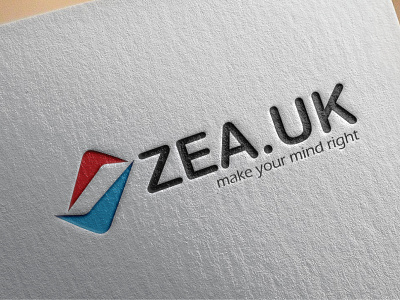 ZEA.UK (concept design for conculting service) branding design graphic design illustration logo