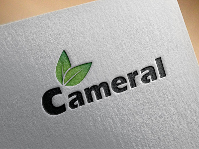 CAMERAL branding design graphic design illustration logo logo design vector