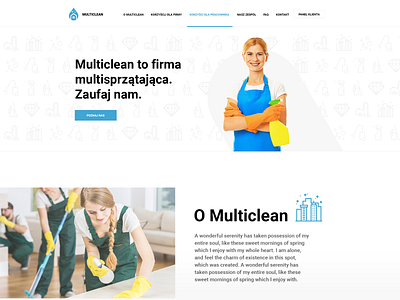 Multiclean - website design