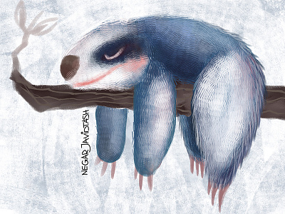 Sloths day digital 2d digitalarts digitalpainting illustration illustrator lazy sleepy sloth sloths