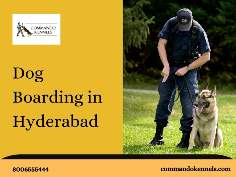 Dog Boarding in Hyderabad by Commando Kennels on Dribbble