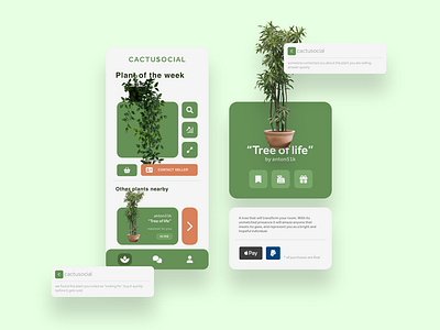 cactuSocial - The Ebay of Plants