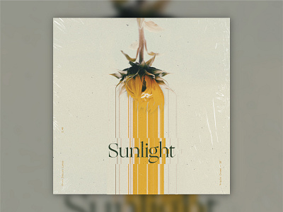 B-Sides — Sunlight album album art b sides layout sunlight