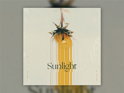 B-Sides — Sunlight