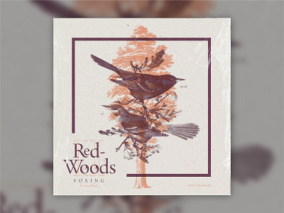 B-Sides — Redwoods II album art b sides birds foxing overprint redwoods sequoia