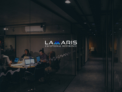 Lamaris Marketing Agency