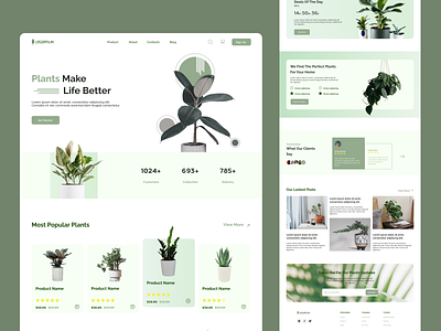 Landing page - Plants shop design graphic design icon typography ui ux web website