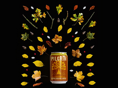 MadTree Pilgrim: A Canocopia of Flavor