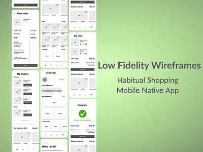 Low Fidelity Wireframes examples