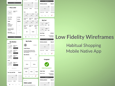 Low Fidelity Wireframes examples