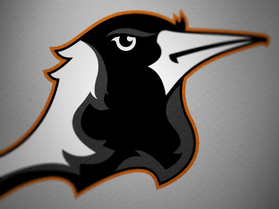 Magpies by Eric Durr on Dribbble