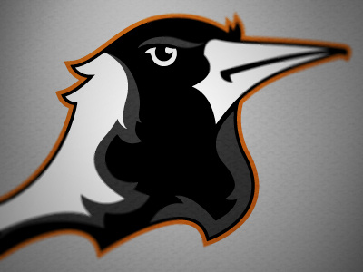Magpies bird magpie sports logo