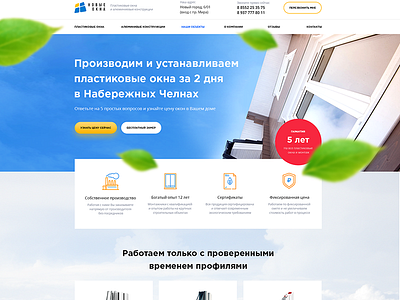 Landing Page: Plastic windows "new windows"