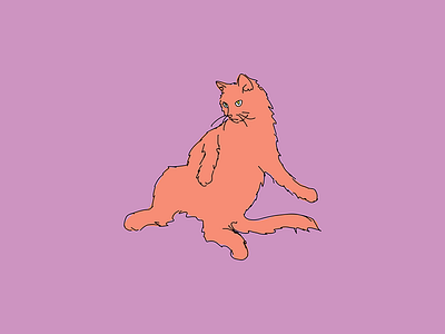 Kitty cat illustration kitty vector