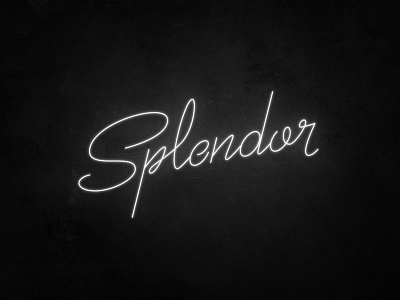 Splendor calligraphy font handlettering lettering logo logotype type typeface typography vector vectors