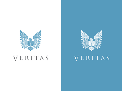 Veritas Identity branding identity logo logotype