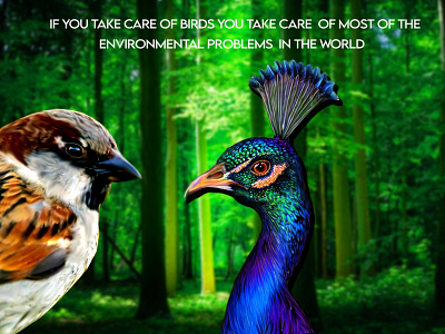 Digital ART for Birds digital art meaning ful art