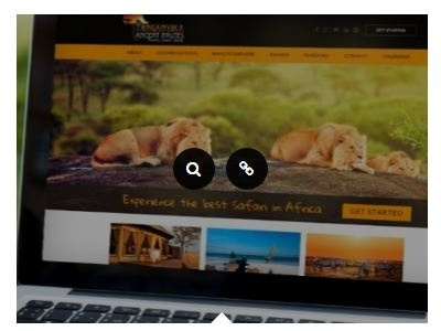 African Safari Company branding design eye candy ui ux webdesign