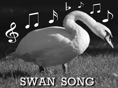 Swan Song aquatic bird music musical notes song swan swan song