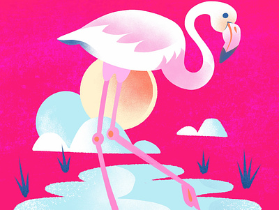 "F"=Flamingo alphabet animal character childrens book childrens illustration color flamingo illustration procreate series texture