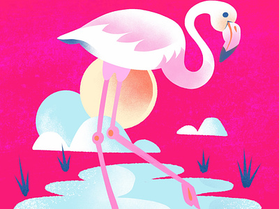 "F"=Flamingo