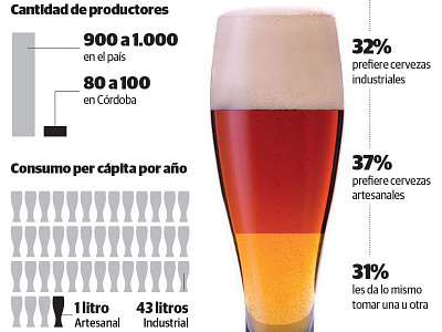 Craft beer infographic