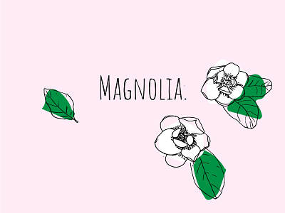 Magnolia Illustration floral hand drawn illustration magnolia pastel summer typography