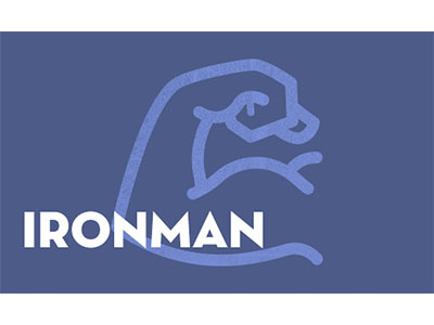 Ironman Triathlon Plan endurance fitness icon ironman marathon olympic training triathlon