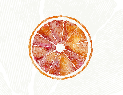 Blood Orange blood citrus food fruit illustration orange