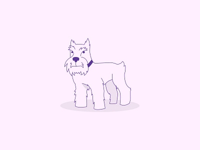 Schnauzer animals dog illustration outline watchdog