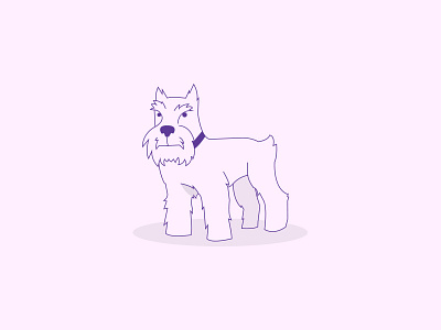 Schnauzer