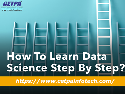 How To Learn Data Science Step by Step