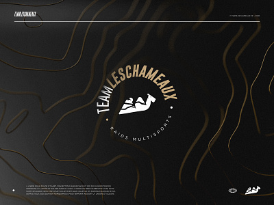 New identity - Team Les Chameaux