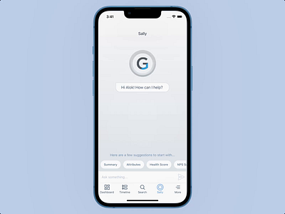 Gainsight Sally app design ui ux