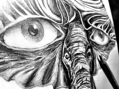 Eye of the Elephant drawing elephant eye pencil sketch