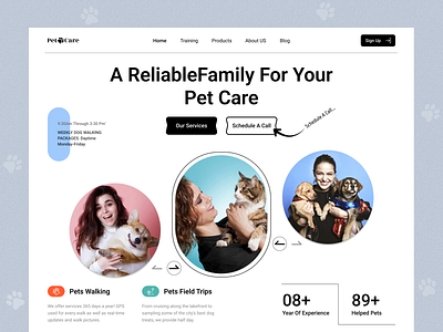 PetCare Landing Page design illustration pet care website pet care website landing page petpal petcare landing page ui ux